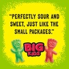 image:imageSOUR PATCH KIDS Big Kids Individually Wrapped Soft amp Chewy Gummy Candy Bulk Candy 240 Count BoxASSORTED