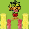 image:imageSOUR PATCH KIDS Big Kids Individually Wrapped Soft amp Chewy Gummy Candy Bulk Candy 240 Count BoxASSORTED