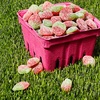 image:imageSOUR PATCH KIDS Grape Soft amp Chewy Gummy Candy Bulk Candy 12  358 oz BagsStrawberry