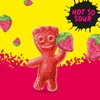 image:imageSOUR PATCH KIDS Grape Soft amp Chewy Gummy Candy Bulk Candy 12  358 oz BagsStrawberry