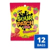 image:imageSOUR PATCH KIDS Grape Soft amp Chewy Gummy Candy Bulk Candy 12  358 oz BagsStrawberry