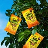 image:imageSOUR PATCH KIDS Peach Soft and Chewy Gummy Candy Bulk Candy 8807 oz Bags