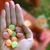 image:imageSOUR PATCH KIDS Tropical Soft amp Chewy Candy Bulk Candy 1236 oz BagsApple