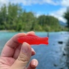 image:imageSWEDISH FISH Individually Wrapped Soft amp Chewy Gummy Candy Bulk Candy 240 Count Boxswedish fish