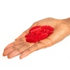 image:imageSWEDISH FISH Soft amp Chewy Candy Easter Candy 12  31 oz Boxes28 oz Pack of 4
