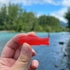 image:imageSWEDISH FISH and Friends Soft amp Chewy Candy507 Ounce Pack of 122 Flavors in 1  Mixed Fruit