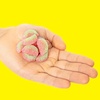 image:imageSour Patch Kids Watermelon Soft and Chewy Gummy Candy 8 Ounce