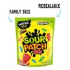 image:imageSour Patch Kids Watermelon Soft and Chewy Gummy Candy Share Size 12 OunceOriginal Assorted