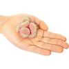 image:imageSour Patch Kids Watermelon Soft and Chewy Gummy Candy Share Size 12 OunceWatermelon