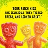 image:imageSOUR PATCH KIDS Soft amp Chewy Gummy Candy 35 oz