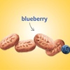 image:imagebelVita Breakfast Bars Biscuits Pumpkin Spice 30 Total Packs 6 Boxes 4 Biscuits Per Pack176 Ounce Pack of 5