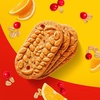 image:imagebelVita Breakfast Bars Biscuits Pumpkin Spice 30 Total Packs 6 Boxes 4 Biscuits Per Pack4 Count Pack of 8